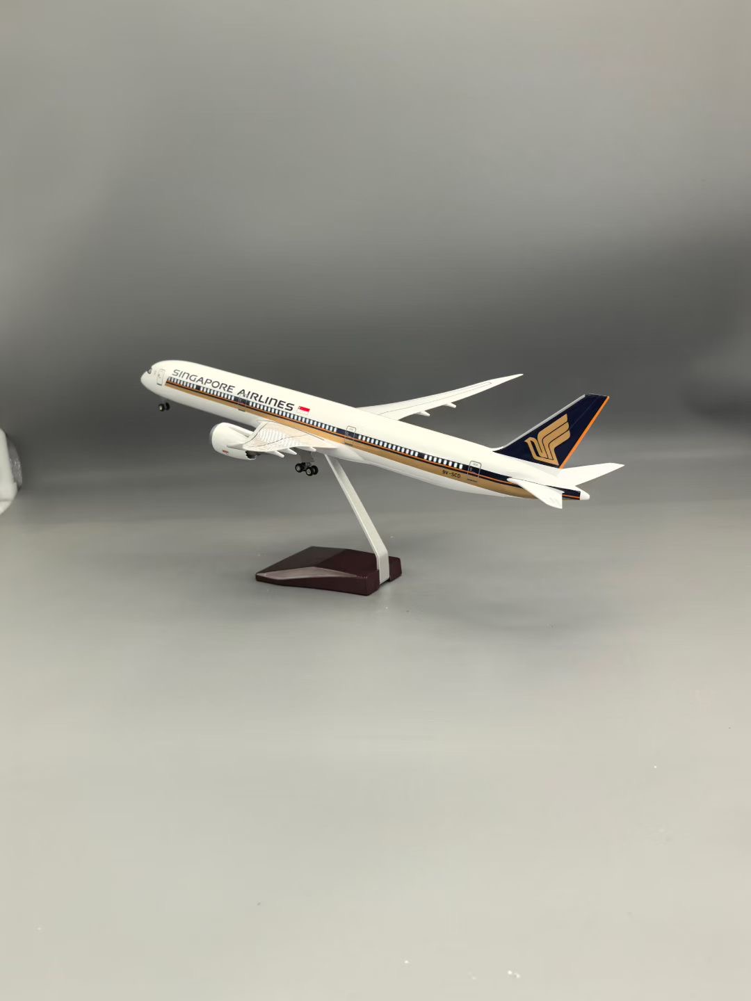 نموذج طائرة محاكاة من الراتنج  - مراجعة Model Kit Singapore وسعره